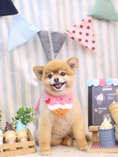 20250508のんちゃん